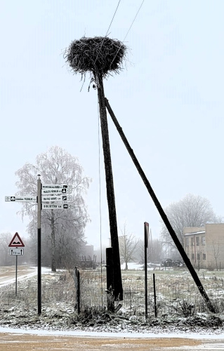 Andzeli_Gnezdo_20.12.2024.jpg