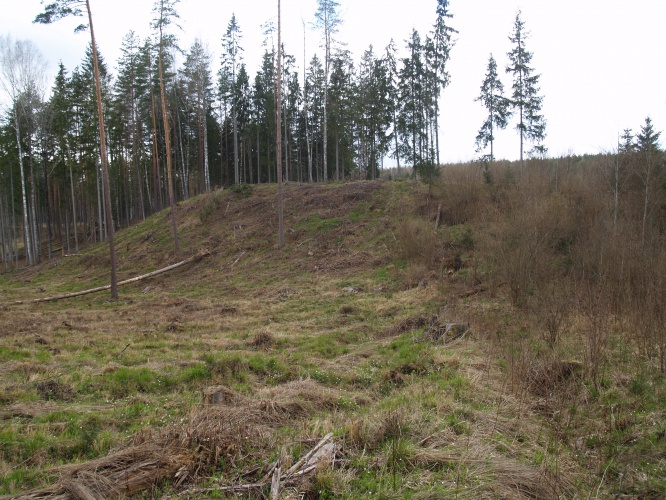Borovkas un Lielindricas pilskalni