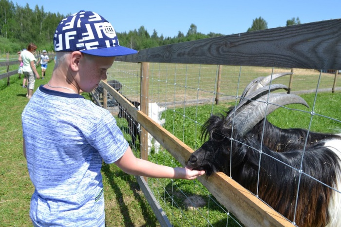 “Sauleszaķēni” – profesiju pasaulē