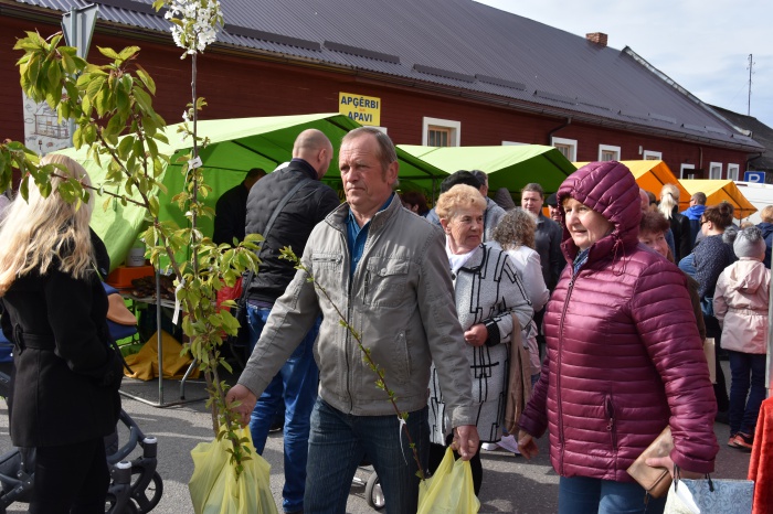 Bērnu pārreģistrācija Dagdas pilsētas pirmsskolas izglītības iestādē “Saulīte”