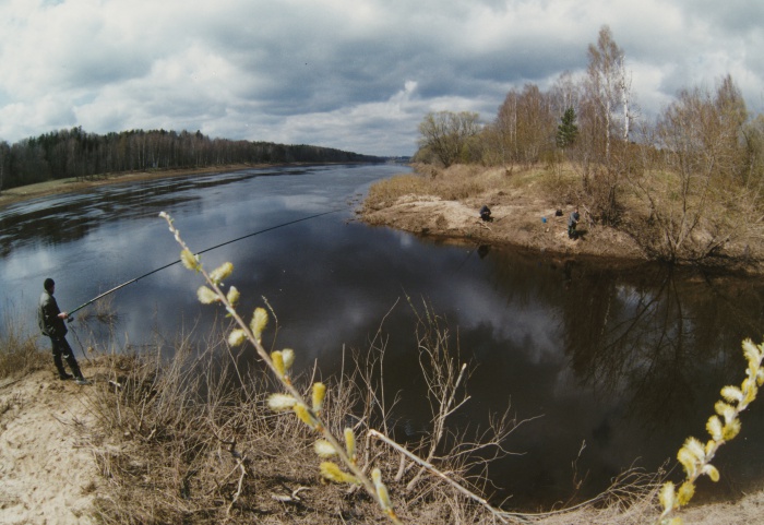 Talantīgā jaunā paaudze