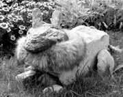 ГПСС призывает чистить улицы, дороги, дворы
