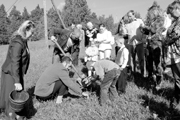 Еще один молодой специалист