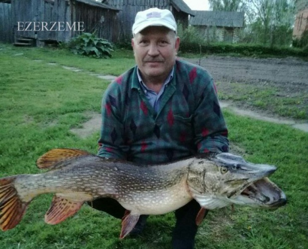 Первый подарок к юбилею