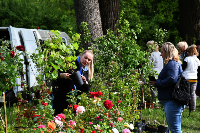 Iecienīta vieta, kur satikties un veiksmīgi iepirkties