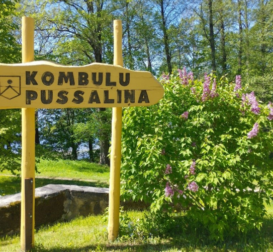 Ceriņi klusē… veltījums Ceriņu svētkiem