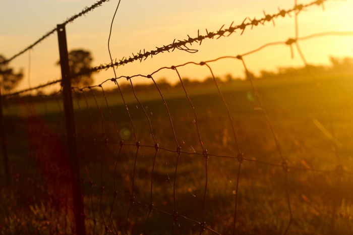 1949. gada 25. marts – pieminēsim un atcerēsimies